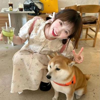梦想竞速
